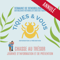 illustration ANNULATION – SEMAINE TIQUES & VOUS – Chasse au trésor I Journée d’information & de prévention