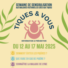 illustration Semaine Tiques & Vous – Maladie de Lyme