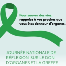 illustration Journée nationale de réflexion sur le don d’organes et la greffe