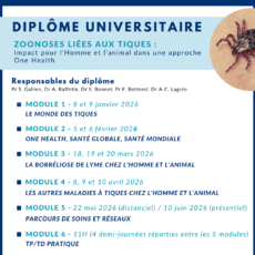 illustration MALADIE DE LYME : DIPLÔME UNIVERSITAIRE À L’UPEC