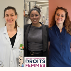 illustration Journée internationale des droits des femmes : elles contribuent chaque jour au fonctionnement et au rayonnement du CHIV !