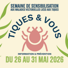 illustration Semaine Tiques & Vous : sensibilisation aux maladies vectorielles liées aux tiques