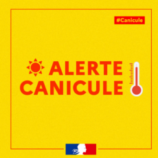 illustration Episode caniculaire – Point de situation