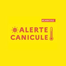 illustration Canicule : comment se protéger ?