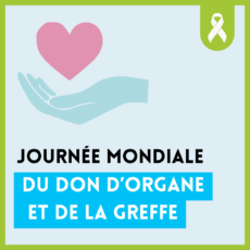 illustration Journée mondiale du don d’organe et de la greffe : Pourquoi en parler ?